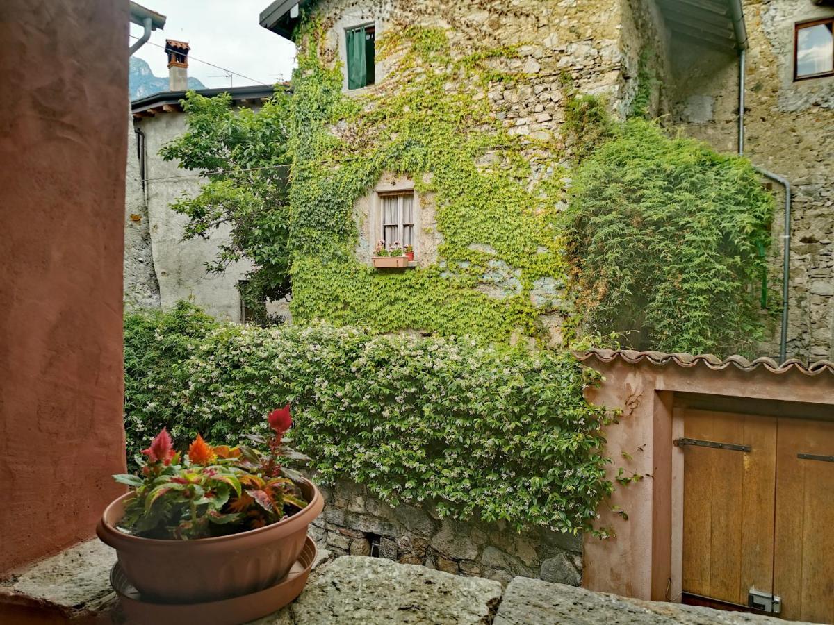 Alla Torre Del Barbarossa B&B Foresteria Mandello del Lario Exterior foto